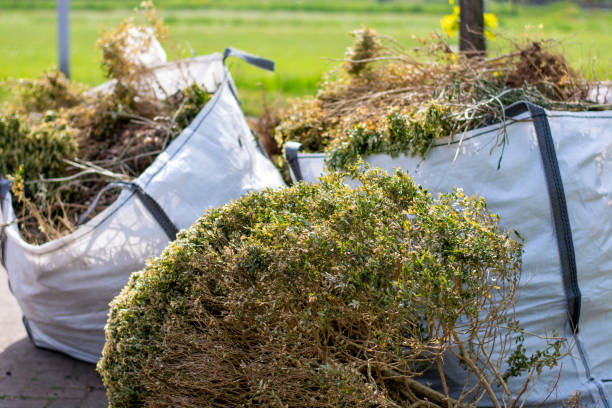 Best Yard Waste Removal  in Lone Grove, OK